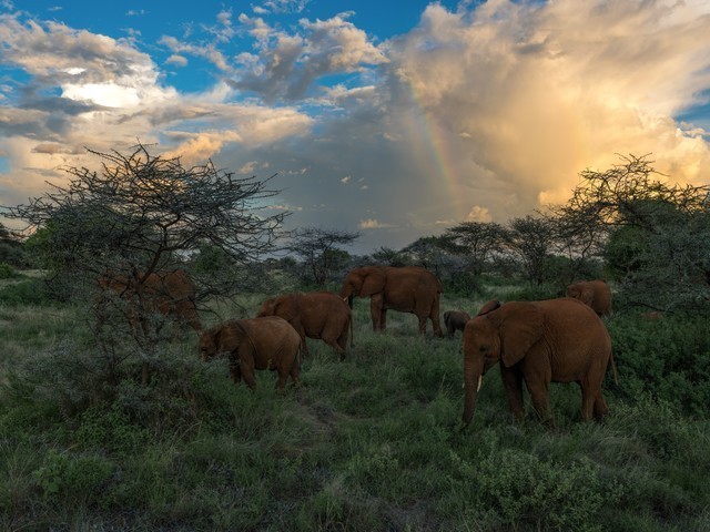 高性價比之選 解鎖中畫幅畫質新體驗