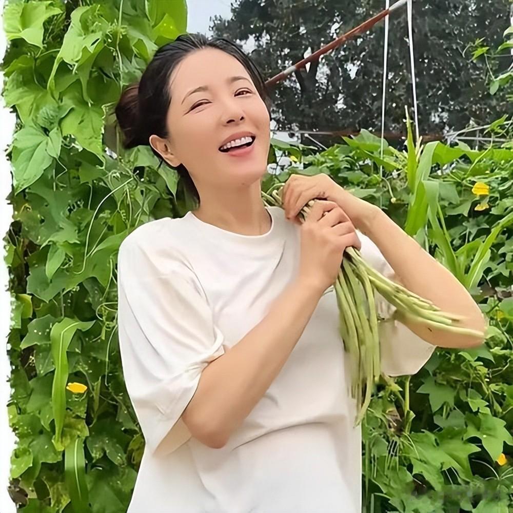 50岁曾黎近况曝光！出席活动身材迷人气质优雅，单身生活十分惬意