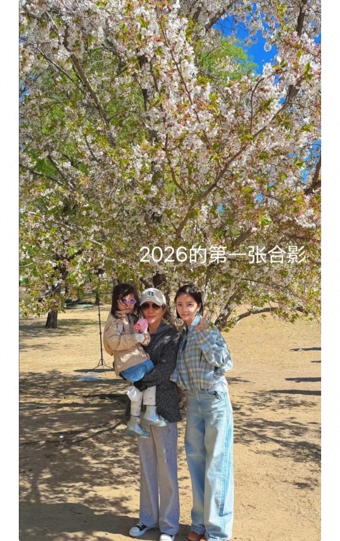 王灿晒婆媳赏樱照，不和传闻直接不攻自破