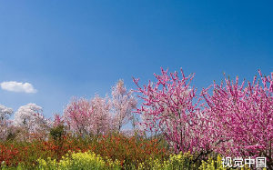 我掏空家底买了400万婚房，没想到准岳母骂我窝囊废不配