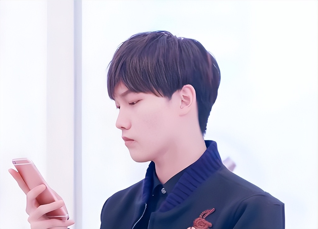 落地凤凰不如鸡?这6位明星红得快,凉得也快,如今“无人问津”