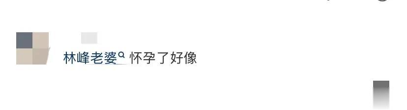 陈浩民和林峯夫妻现身迪士尼，张馨月穿着宽松，被猜测怀了二胎