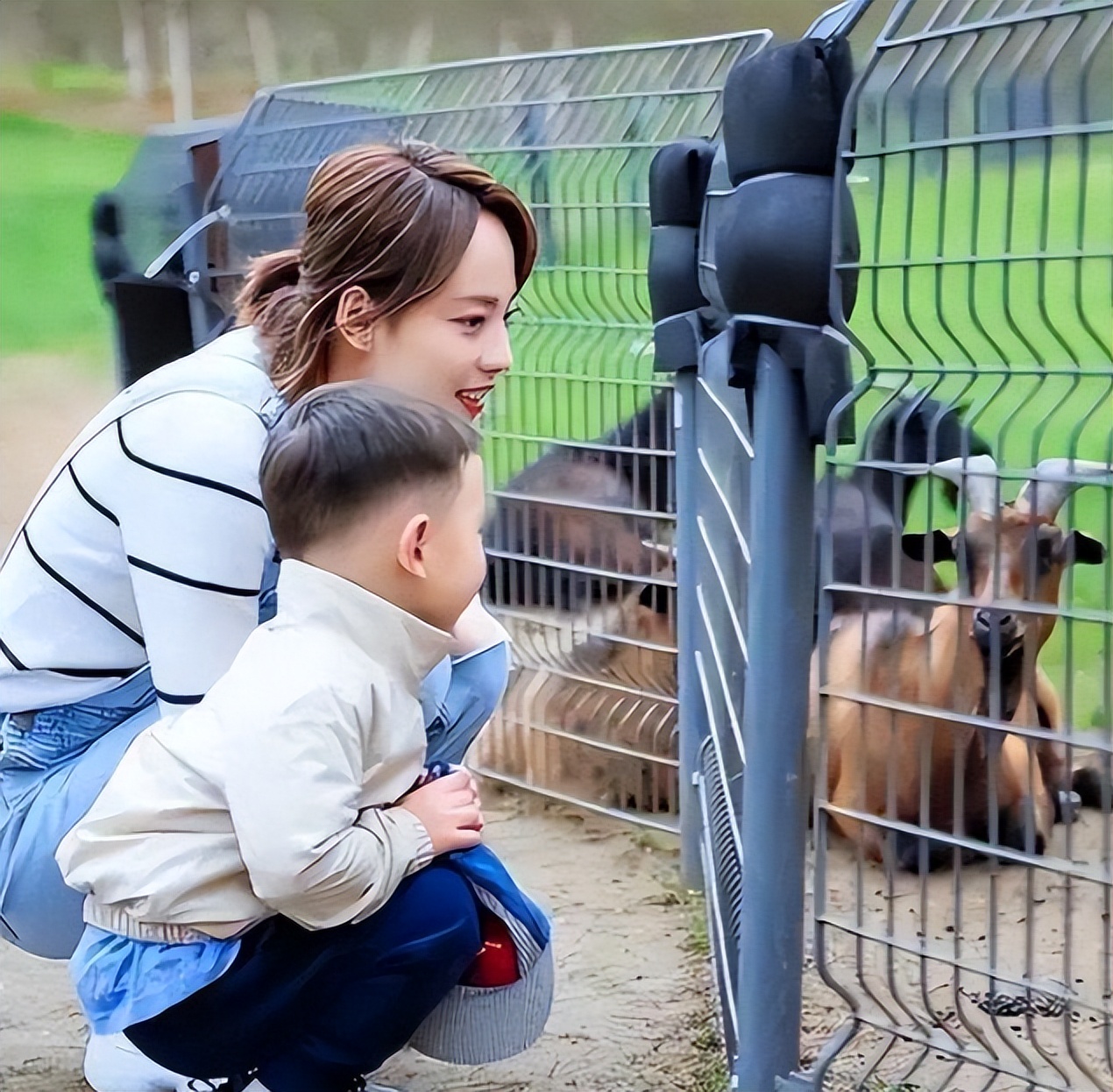上嫁吞针！“小三”成功上位，买超全家认可，张嘉倪的体面成笑话