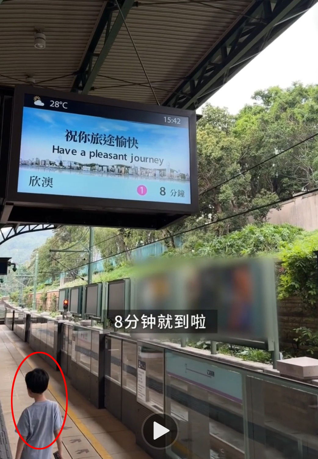 张柏芝陪三胎儿子逛迪士尼,7岁小王子罕露镜,身材消瘦头发浓密