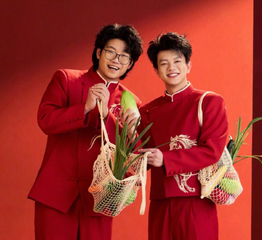 2026央视春晚：赢了收视率，却输了口碑，留3大遗憾让观众意难平