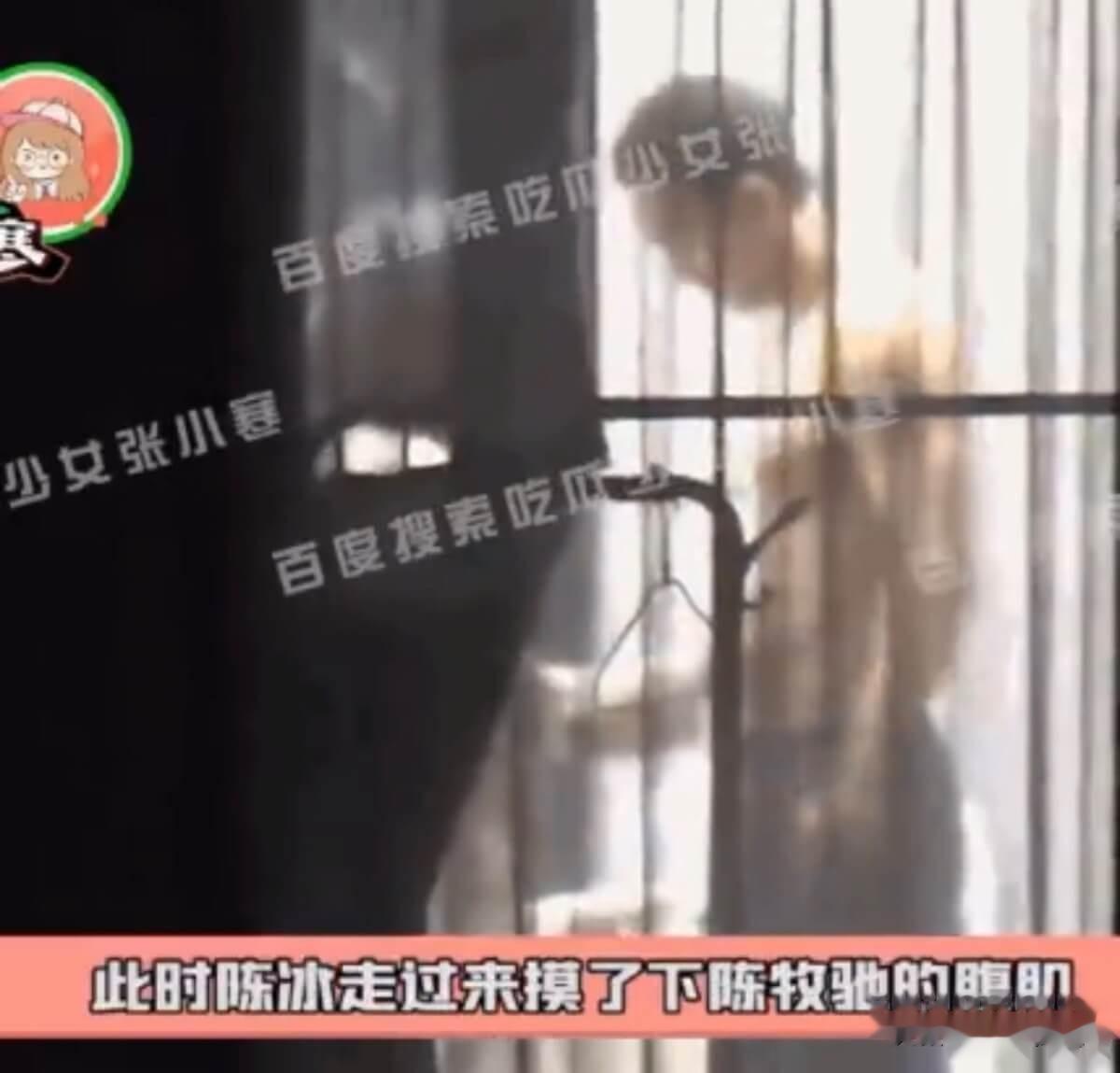 打脸粉丝！陈牧驰发长文官宣结婚生子！老婆陈冰是麦当劳公主