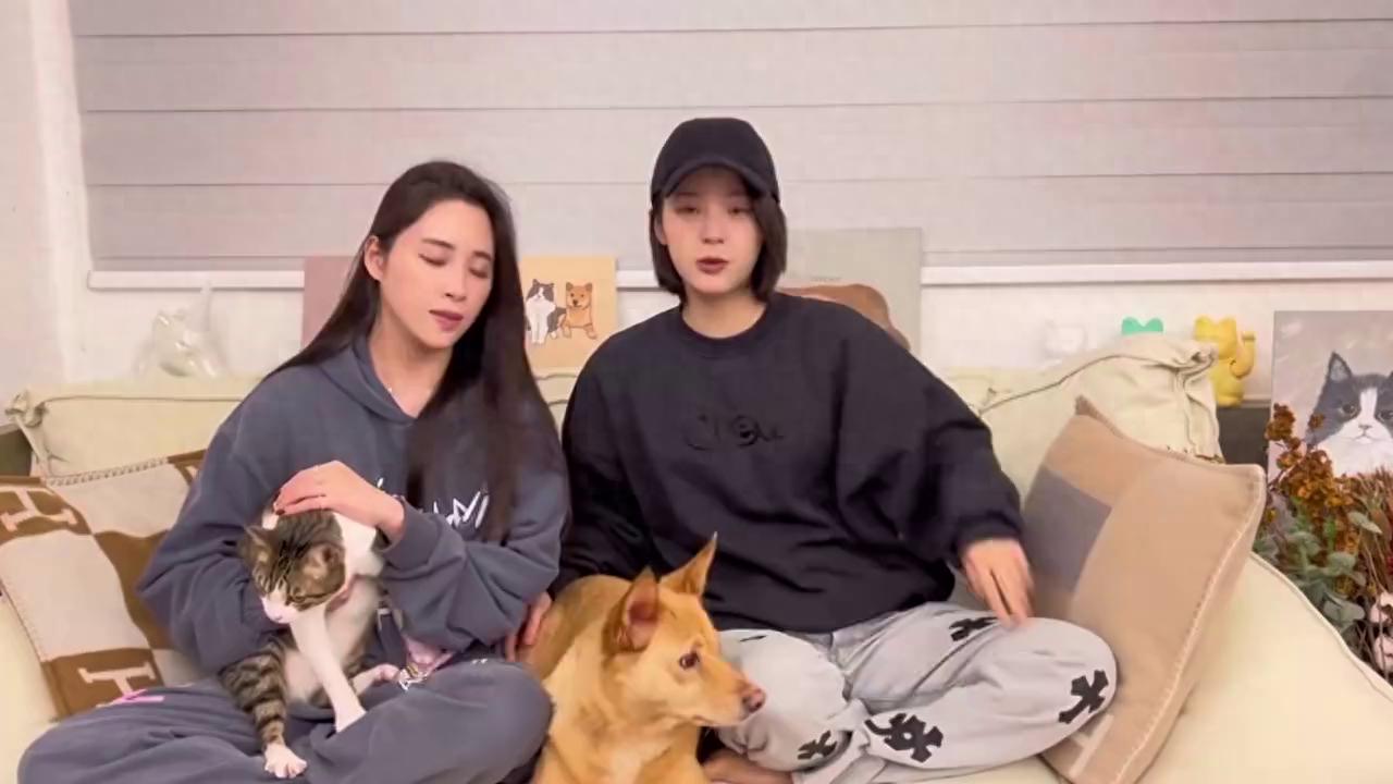 欧阳妮妮被传怀上二胎引热议，张书豪经纪人回应：确认过没...