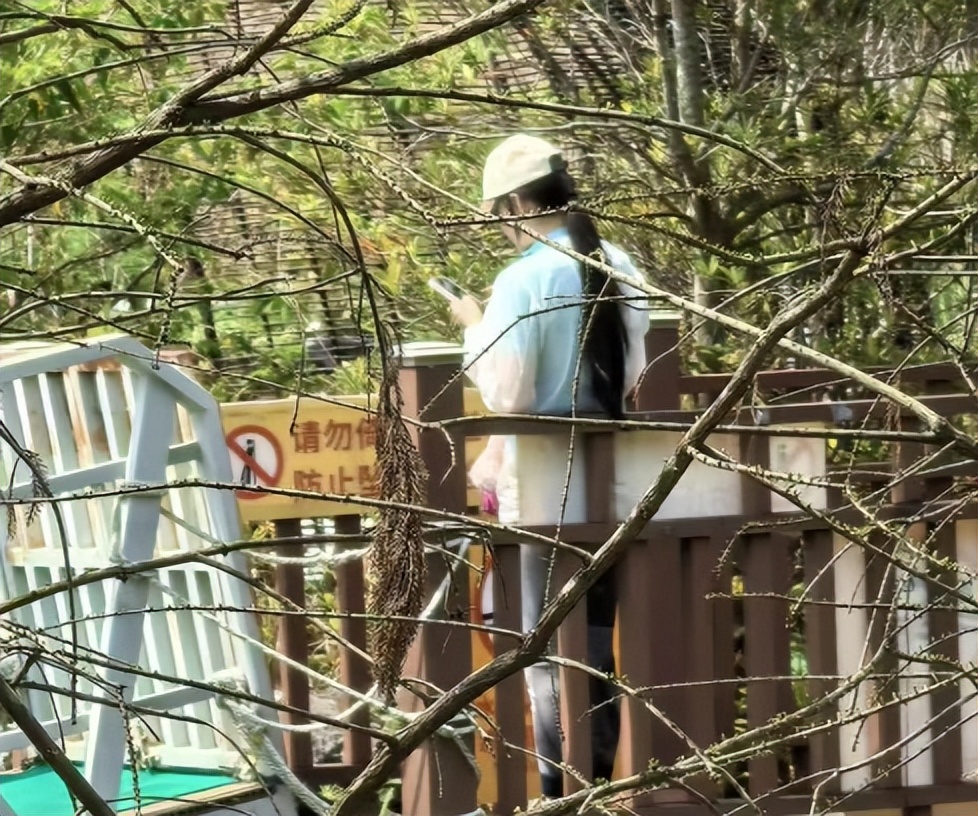 看了热搜上的张馨予，才明白她与何捷婚姻的真相，贾静雯真说对了