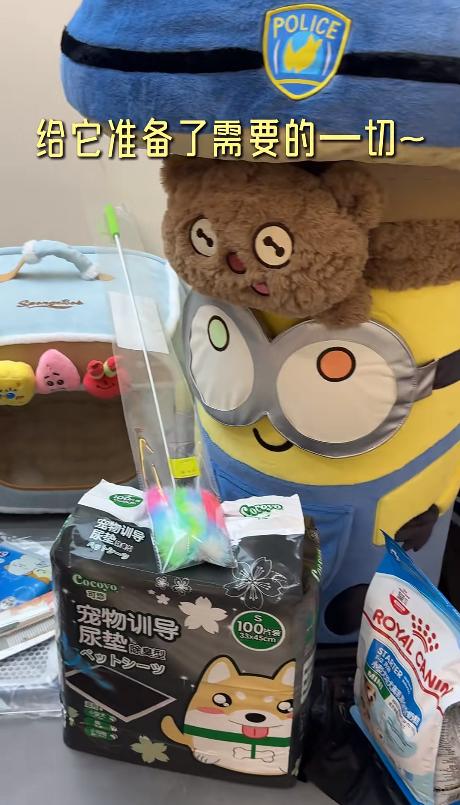 冉莹颖住豪宅哭穷省水电费!转头领养流浪狗,大方买新窝不看价格