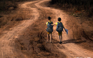 没有血缘的流浪兄弟相依为命，哥哥为养弟弟甘愿偷窃作贼，落网后全国网友泪奔