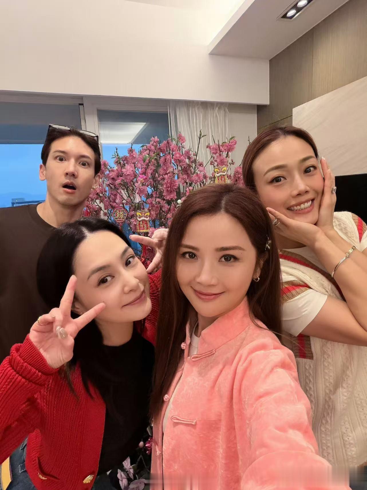 阿娇年初二晒聚会照!闺蜜四人组到齐,被霍汶希女儿近照惊艳到了