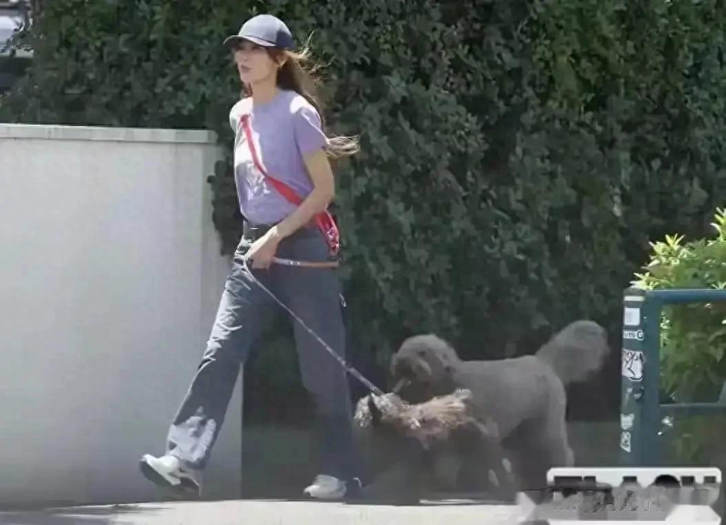 木村拓哉与妻子工藤静香一起去遛狗，两人结婚二十多年，感情很好