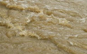 我替闺蜜代嫁河神，她却抢走了我编制岗位？