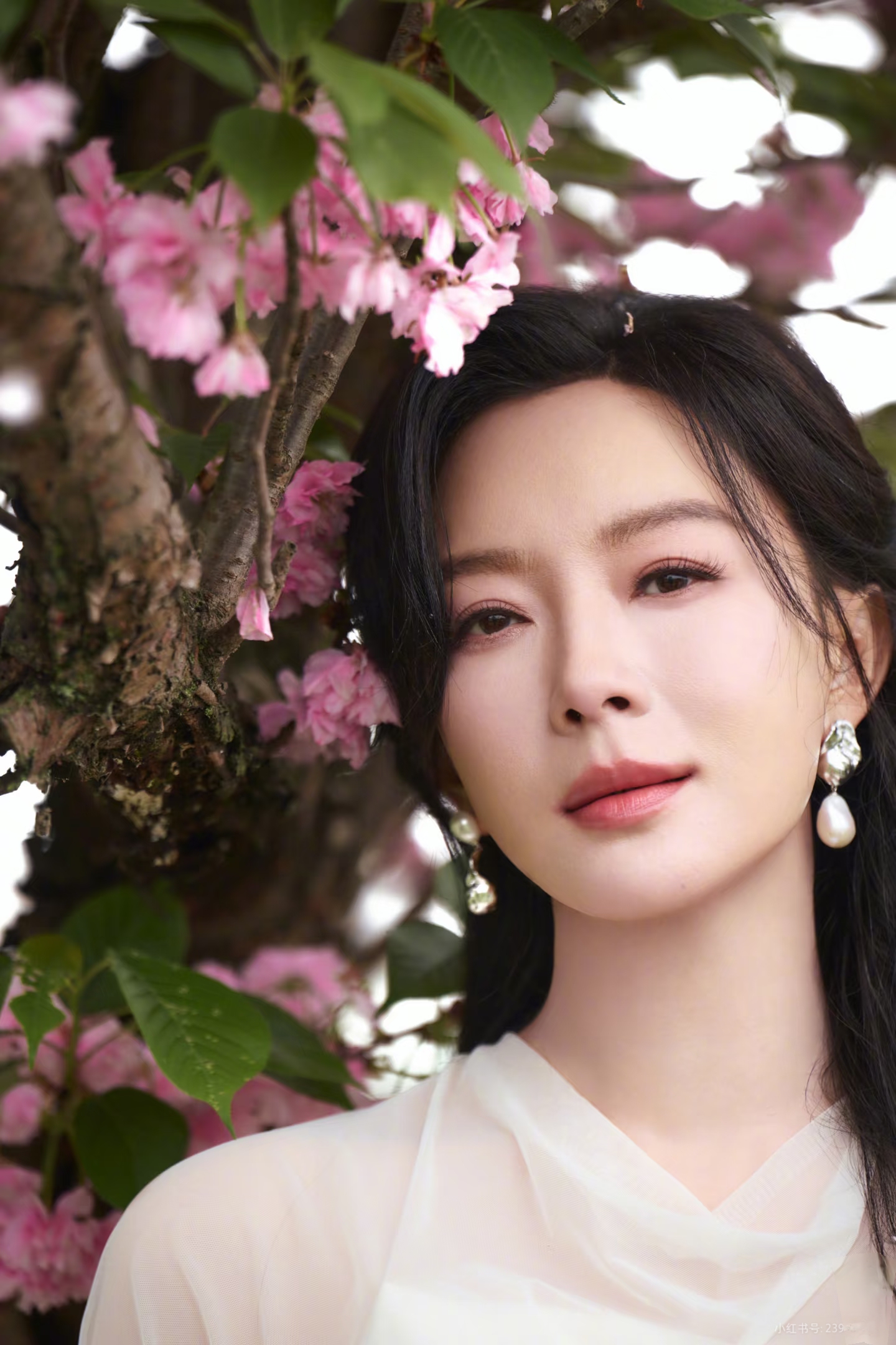 陈数，花美人更美