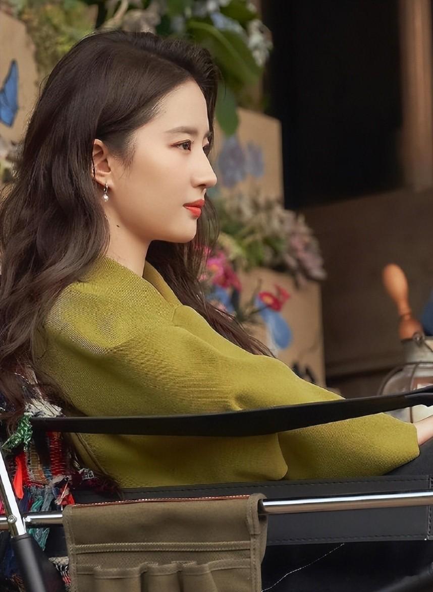 原来我们误会了，刘亦菲被曝两年多未进组拍戏，背后的真相太现实