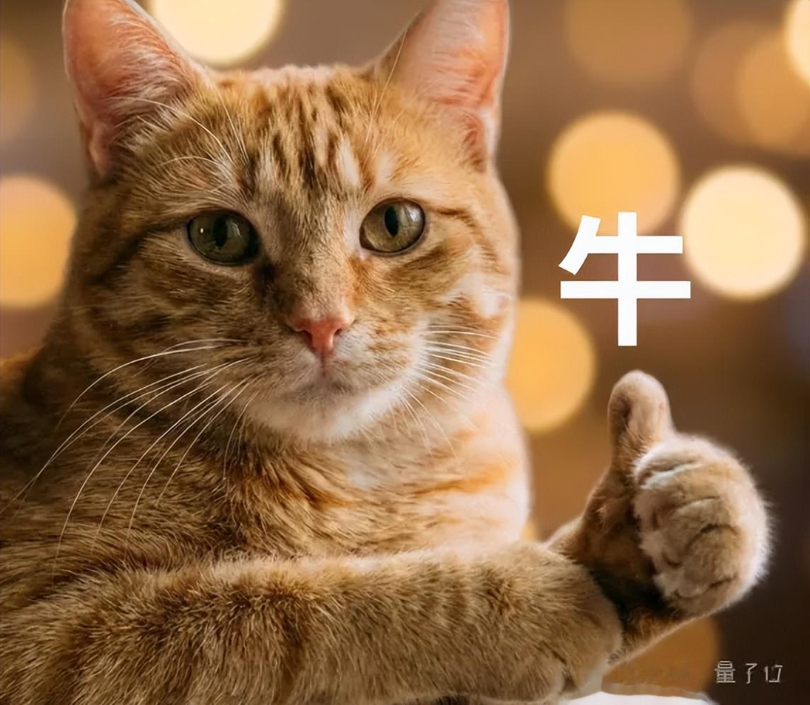 AI Agent搞定世紀首次菲爾茲獎成果形式化！一周時間獨立完成