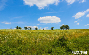 重生后，夫君跪着求我别剜心