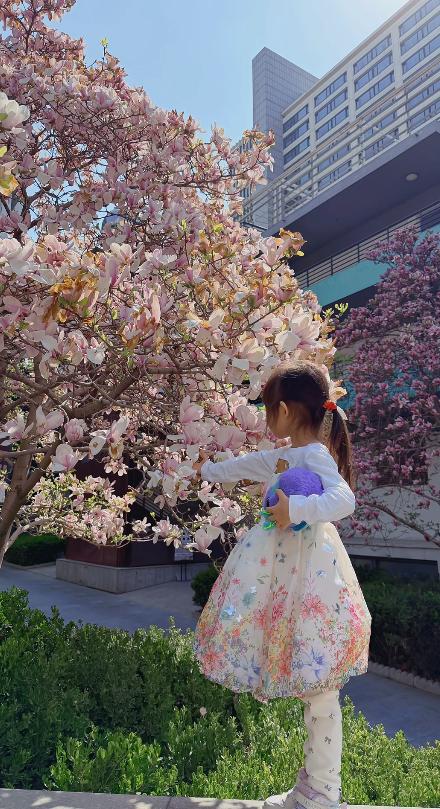 杜淳老婆自曝不想生二胎！带女儿看花好温馨，5岁小蛋饺越长越美