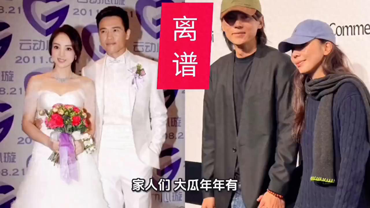 惊天反转！张婉婷疑似介入董璇高云翔婚姻，聊天记录全曝光