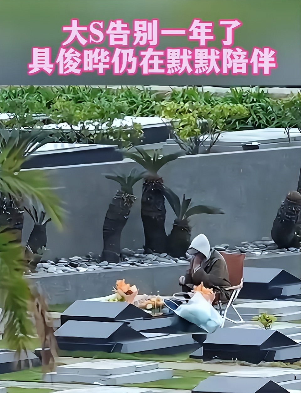 大S遗产归属曝光,炸出一堆“牛鬼蛇神”,S妈发声明,张兰暴怒