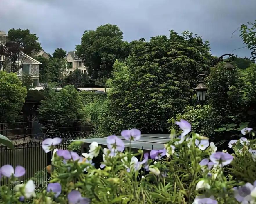 61岁范明近况曝光!娶大6岁妻子恩爱29年,如今晒豪宅引发热议