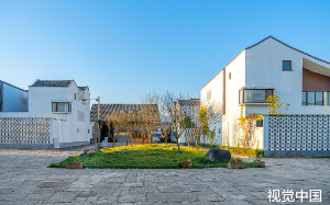 厅级省干部想教训骚然少妇的村支书，分别叫来了市长、县长和镇长，官越小权越大！