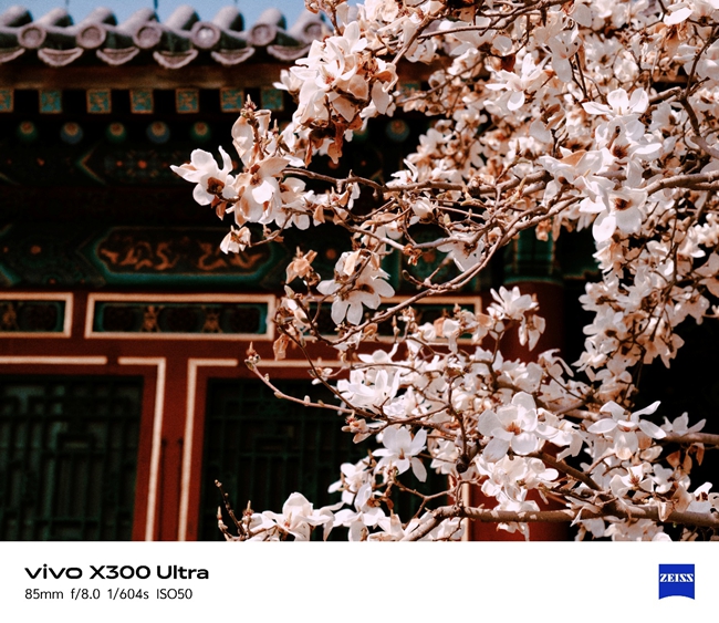 全能V單 創作由我 vivo X300 Ultra深度體驗
