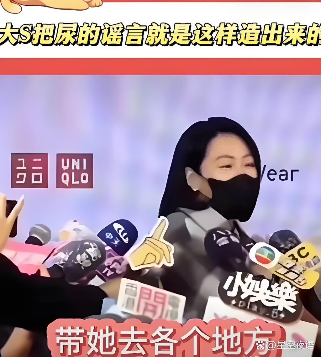 作家陈岚锐评大S：人间最难吃的三碗面，最难吃的那碗就是体面！