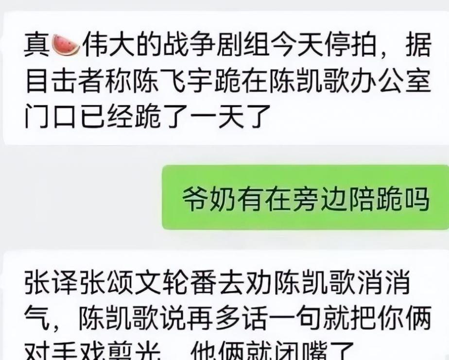 扶不起的阿斗!陈凯歌没想到,强捧十几年的儿子,又败在了新剧上