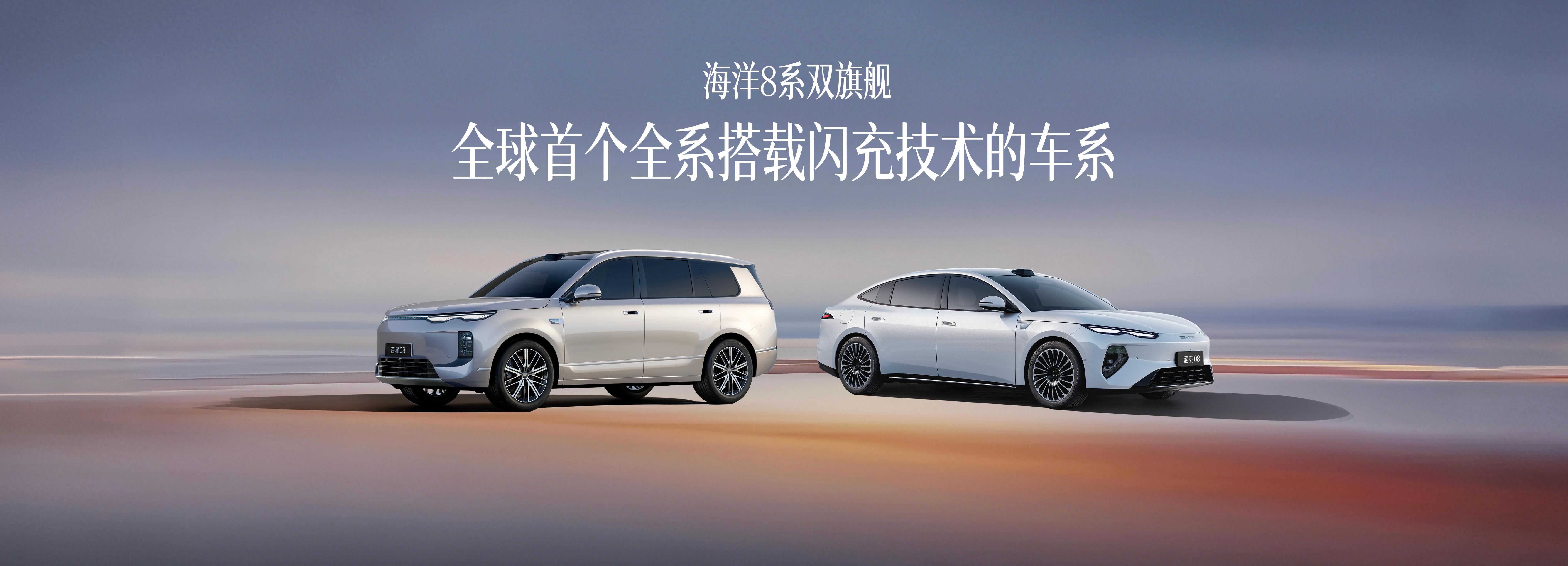 比亚迪海洋8系旗舰车，30万元起，二代刀片电池+闪充