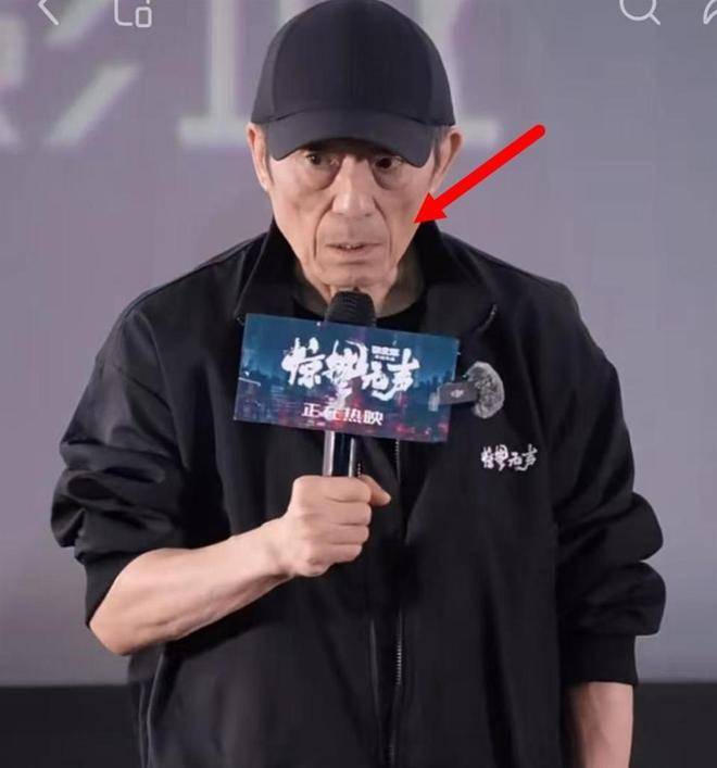 76岁张艺谋独自挖野菜上热搜