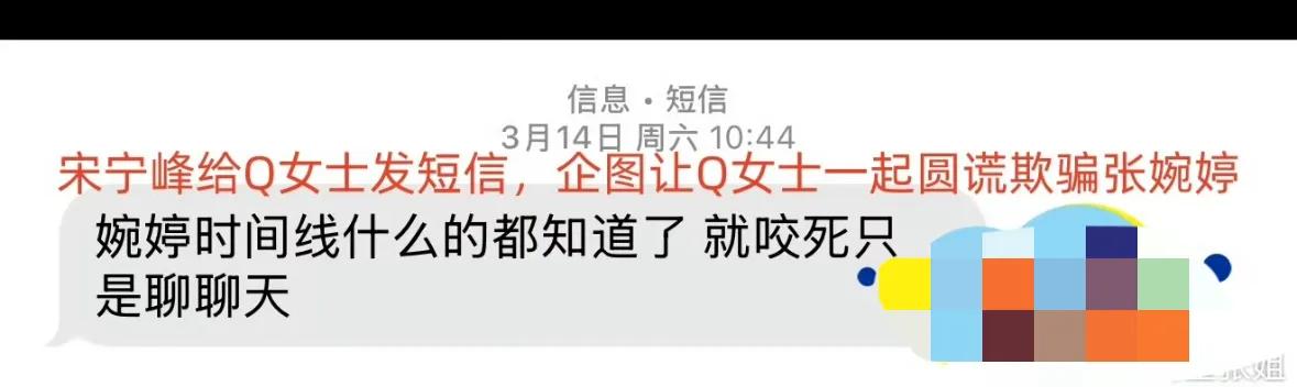 宋宁峰婚内出轨张婉婷大骂女生维护他，真是一个被窝睡不出两种人