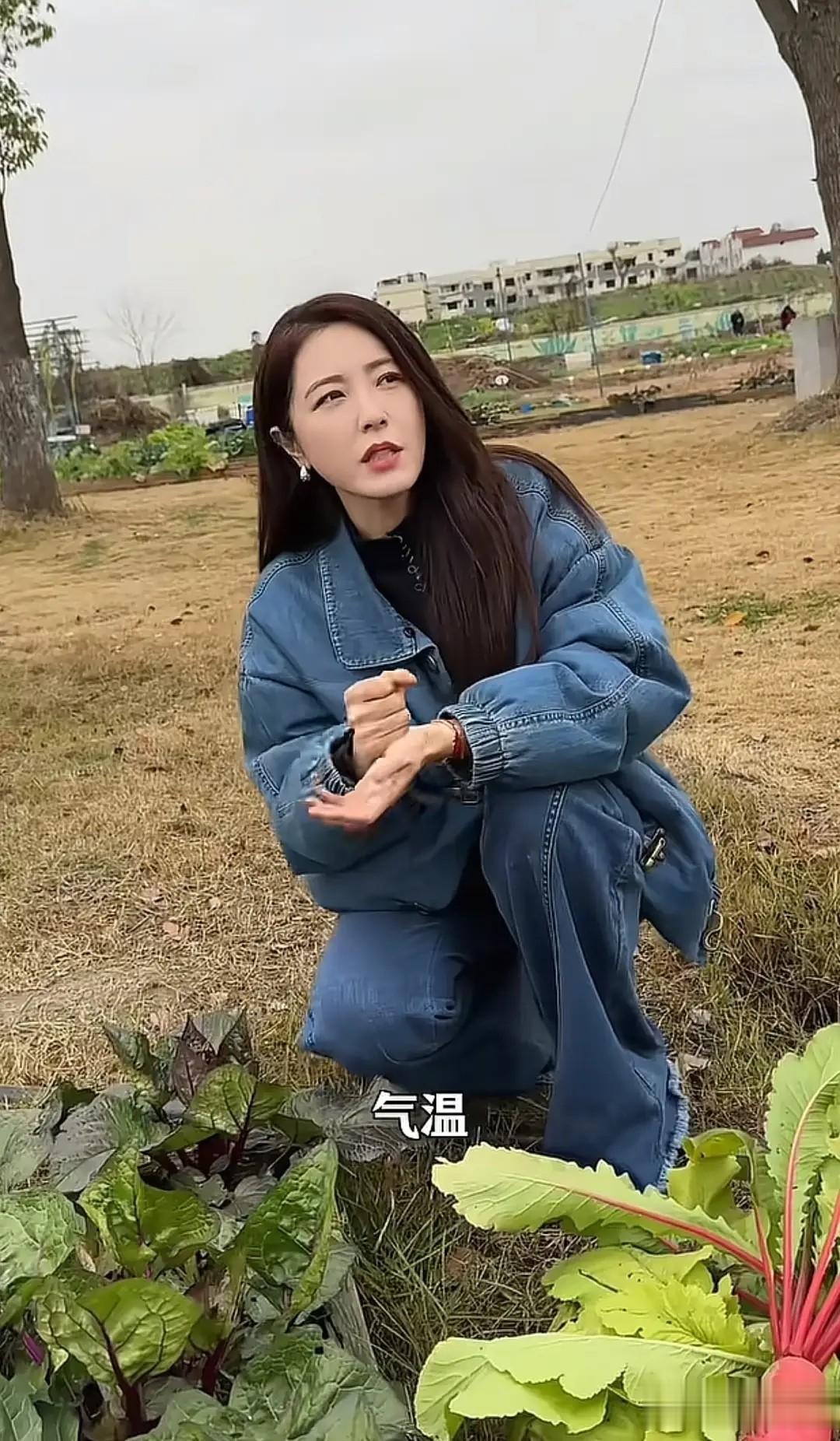 49岁曾黎蹲地里直播！穿牛仔外套不装腔，介绍红油菜苔太认真
