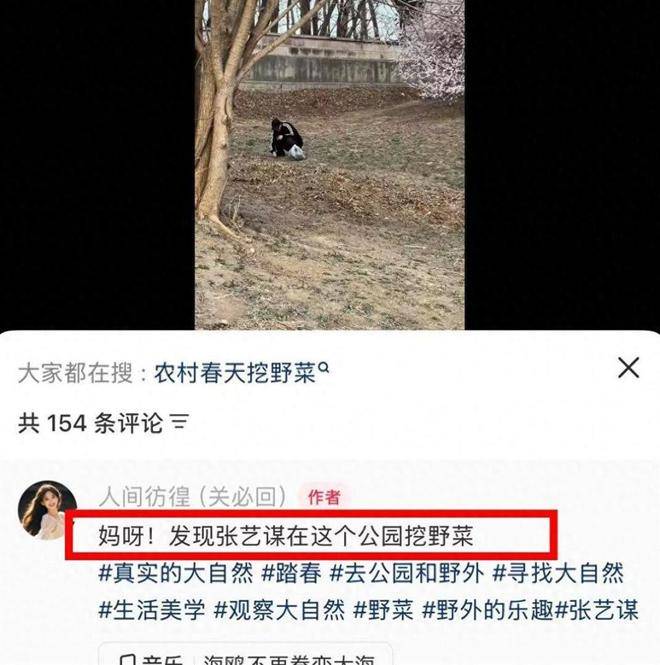 76岁张艺谋独自挖野菜上热搜