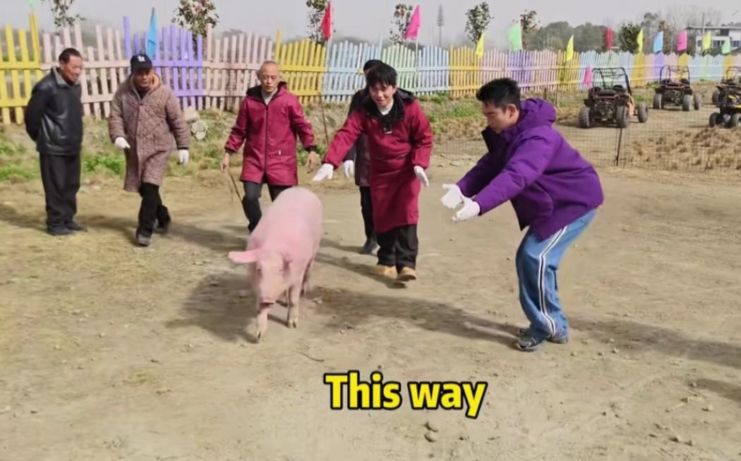 郑恺穿四川省服做饭!下乡为独居老人办杀猪宴,炒菜比老婆还能干