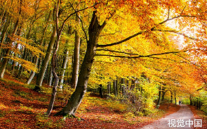 女儿送我金镯子，被儿媳调包假货？