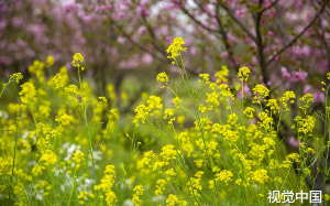 我辞职带娃，丈夫逼我离婚后，跪求我该怎么办？