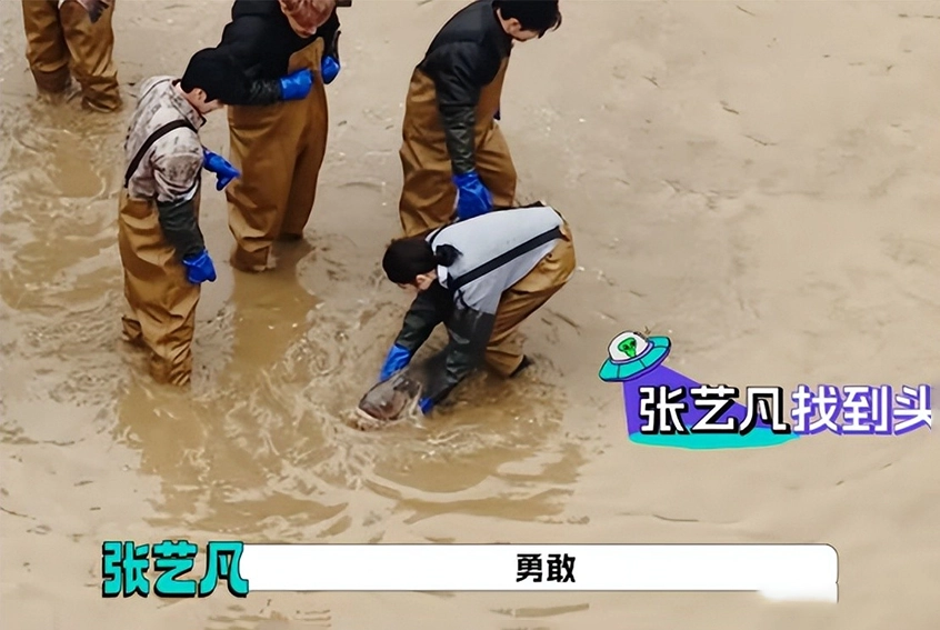 张艺凡泥里抱鱼爆红,白鹿范丞丞成陪衬?真实比精致更高级?