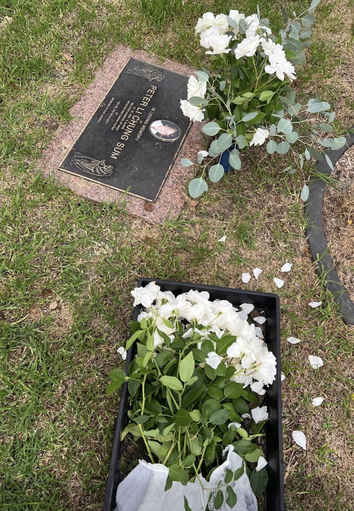 73岁港姐为李小龙哥哥扫墓，墓前铺满白花，离婚逾30年仍每年拜祭