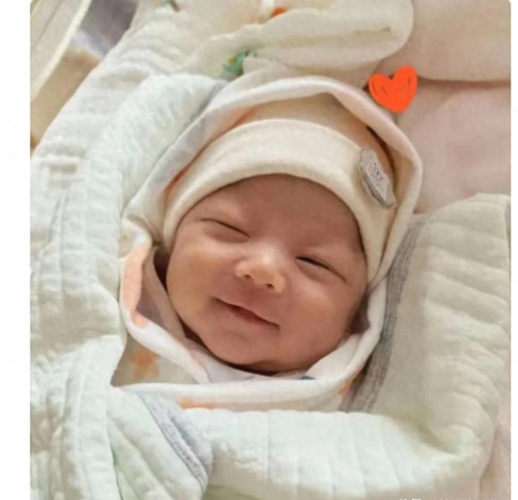 小七宝一出生就成全网团宠！汪家这次真的甜到大家了