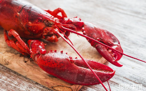 大厂裁员裁到大动脉，我把自己的AI替身调包成废物，反手赚了十个亿