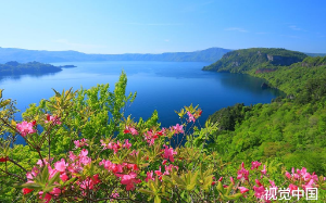 重生后，我亲手把吸血的养父母送进监狱