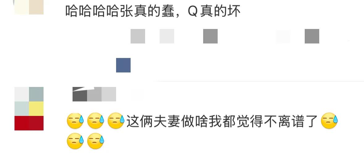 张婉婷为感化Q女士，竟自曝当小三怀孕的黑历史，真的可怜又可笑