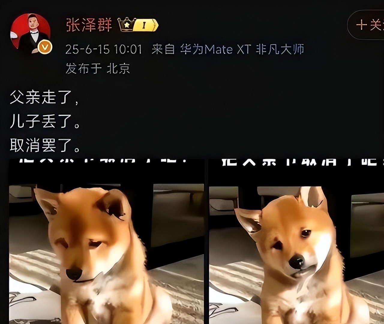 儿子丢了、父亲走了、妻子跑了,央视主持张泽群如今落到这般田地