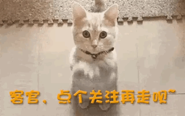 关晓彤被制片人公开内涵后，博主也爆料娱乐圈内幕