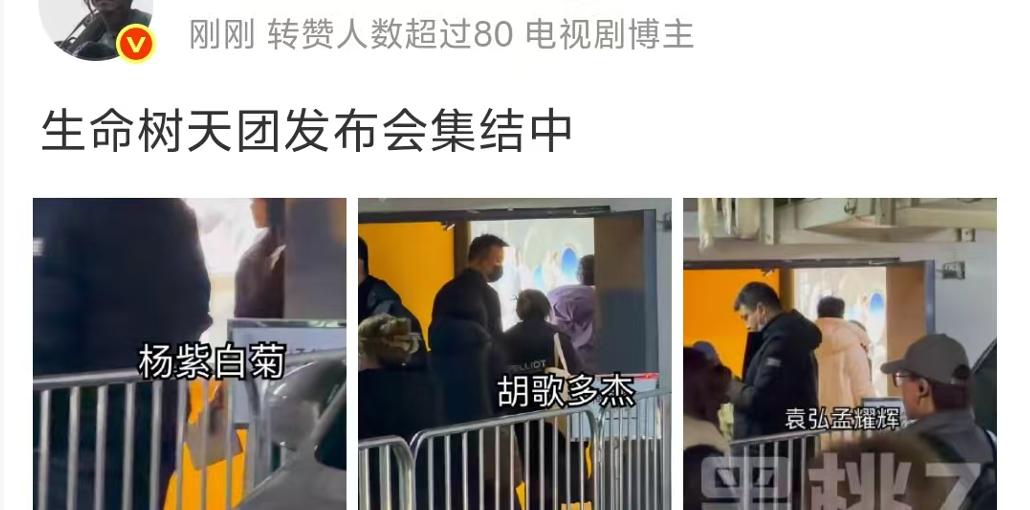 《生命树》被扒注水、海报虚假大女主，恐将重走《太平年》老路？