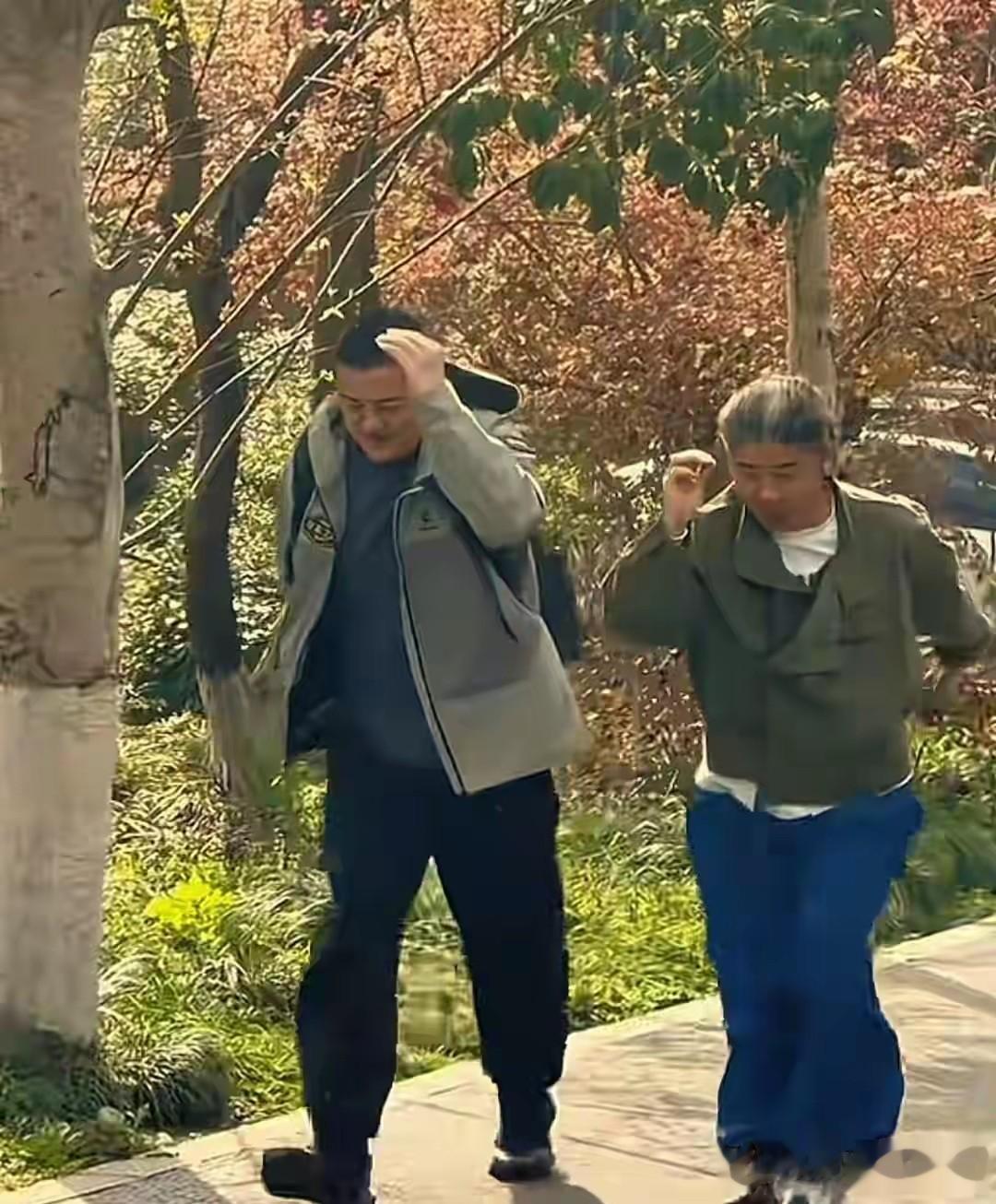 李亚鹏茶园飞檐走壁，张纪中现场指导，这波操作比复出更圈粉