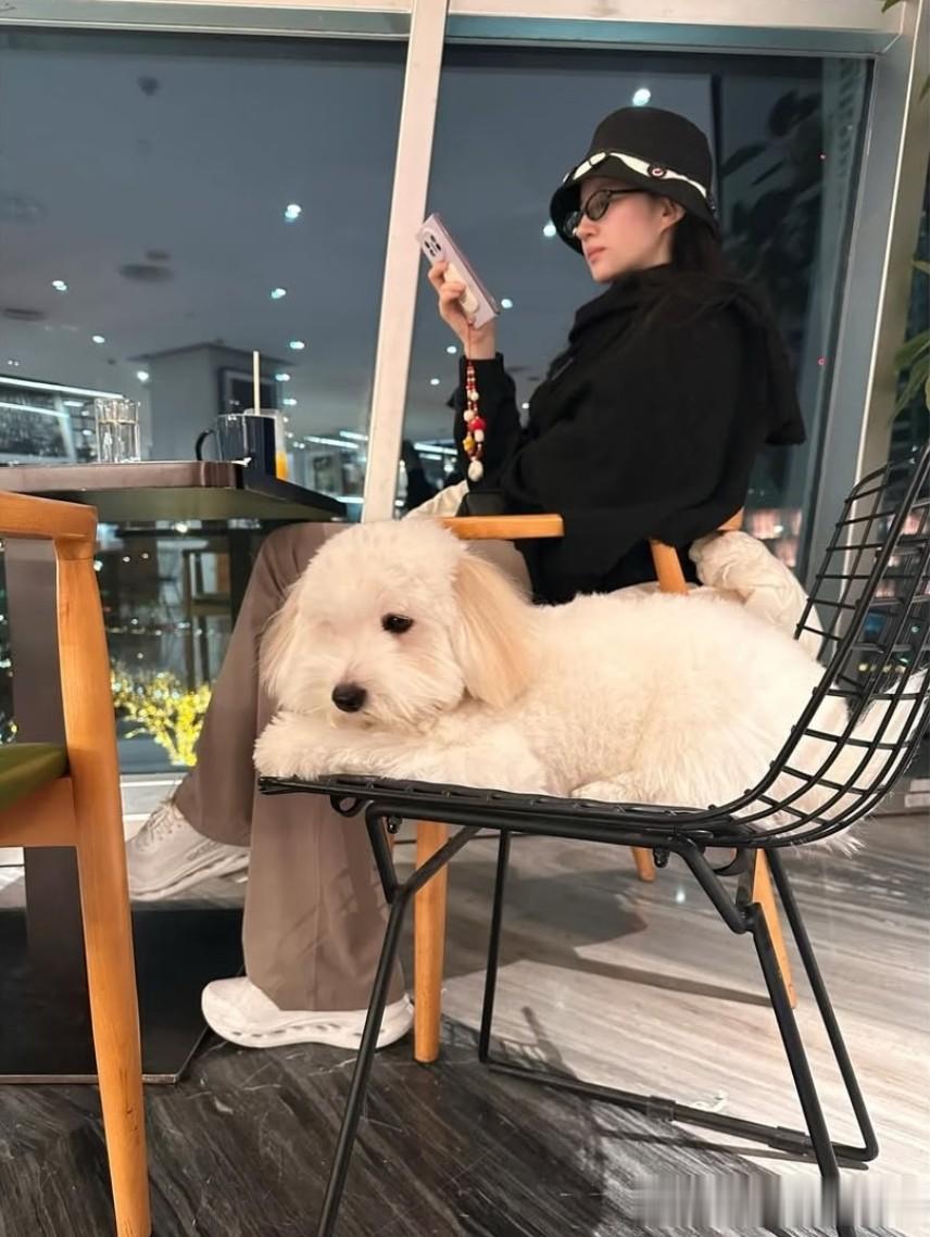 刘亦菲外网晒日常!脚上这双白色一脚蹬网鞋真好看,价格也美丽