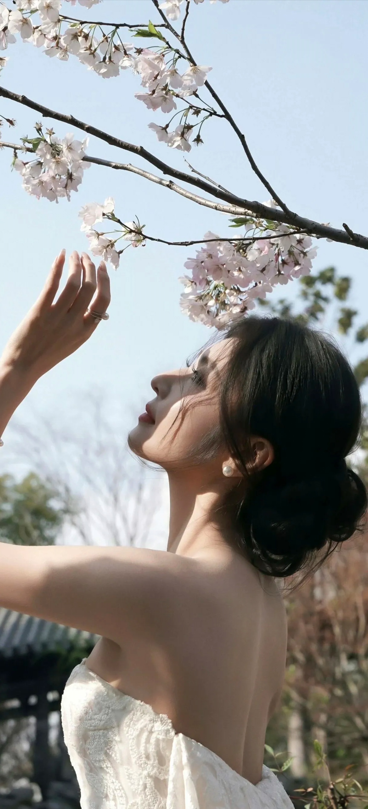 精品女神壁纸（635）马心瑞