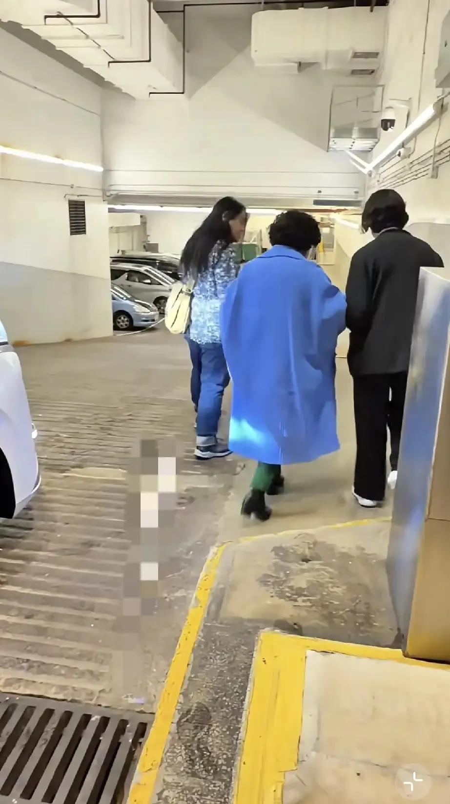 薛家燕腿又细又短,肚子好大,老态龙钟,小17岁男朋友怎么看上她